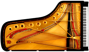 Największa wypożyczalnia wysokiej jakości fortepianów koncertowych, półkoncertowych, gabinetowych, cyfrowych, Steinway Model D, Yamaha CFX, GranTouch, C7, Kawai